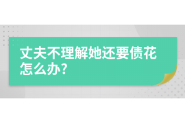 雄安新区为什么选择专业追讨公司来处理您的债务纠纷？